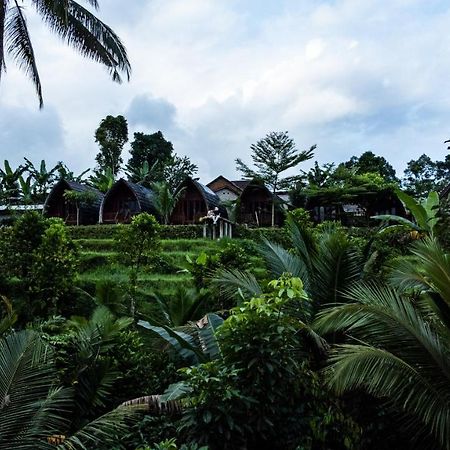Отель Omah Bapak Ijen Eco House Licin Экстерьер фото