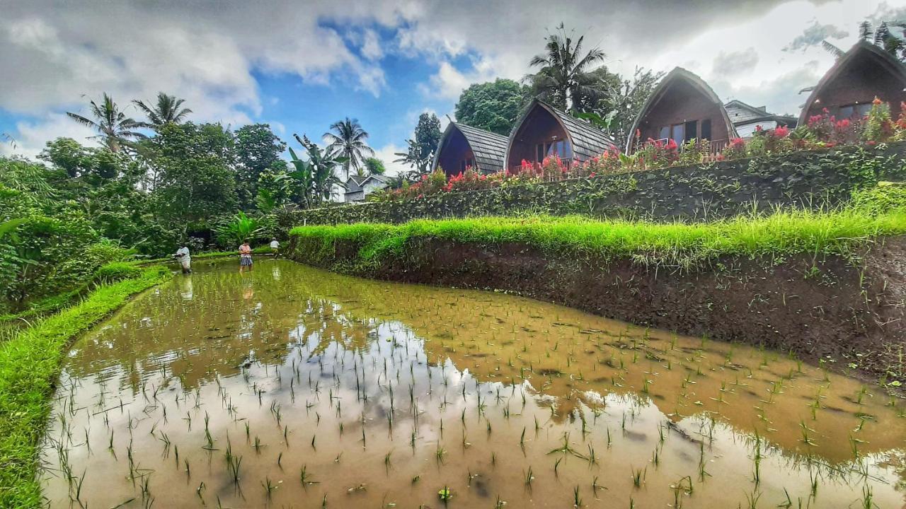 Отель Omah Bapak Ijen Eco House Licin Экстерьер фото