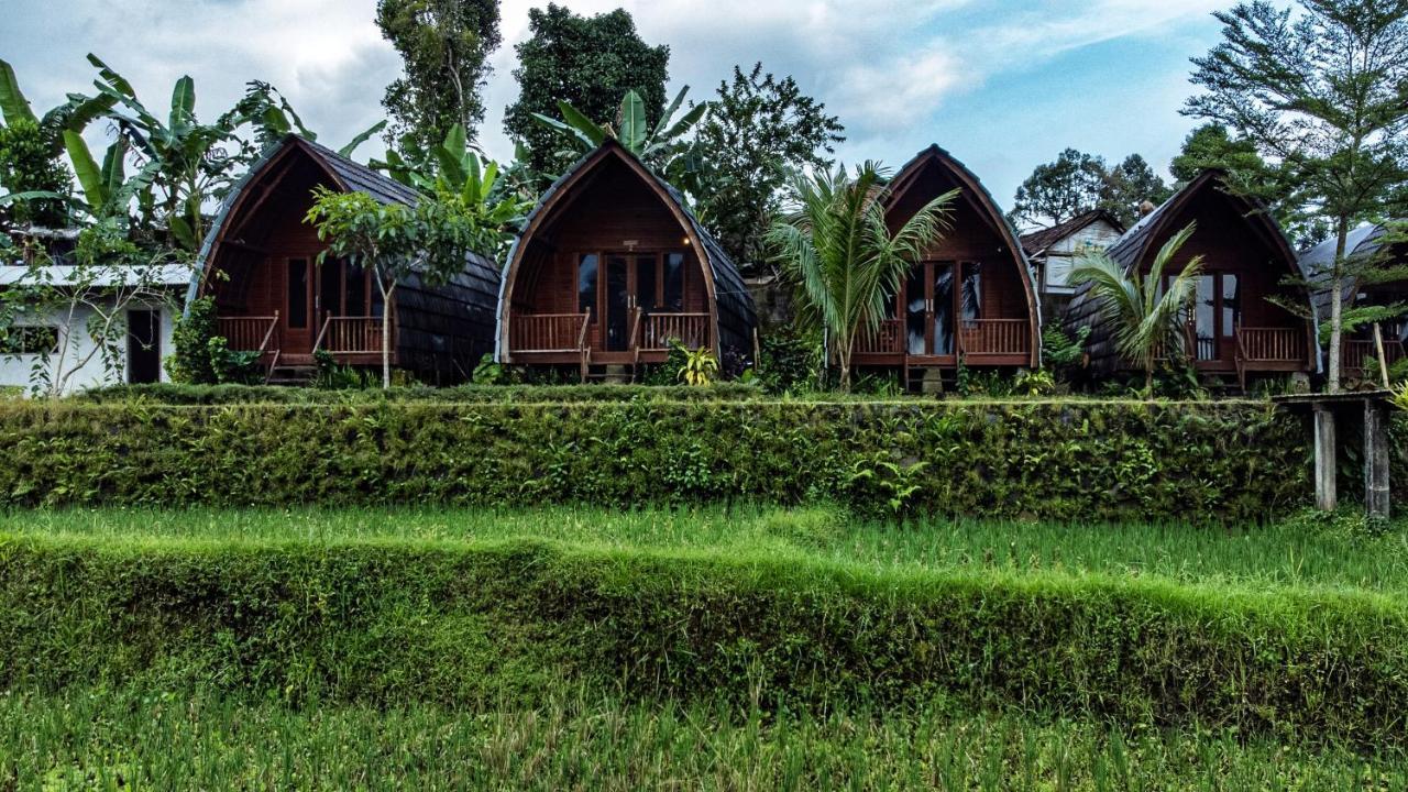 Отель Omah Bapak Ijen Eco House Licin Экстерьер фото